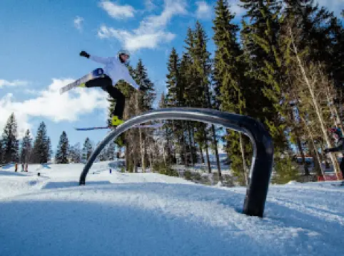 Ruokolahden Freeski Ky