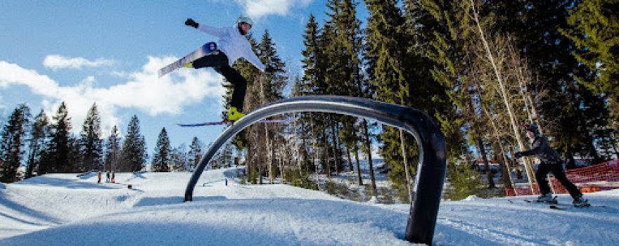 Ruokolahden Freeski Ky