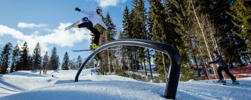 Ruokolahden Freeski Ky