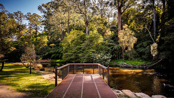Yarra River Walking Track