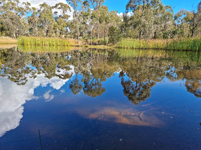 Bloomfield Reserve Dog Park
