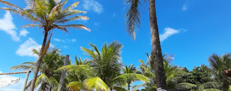 Praça Do Pau Fincado