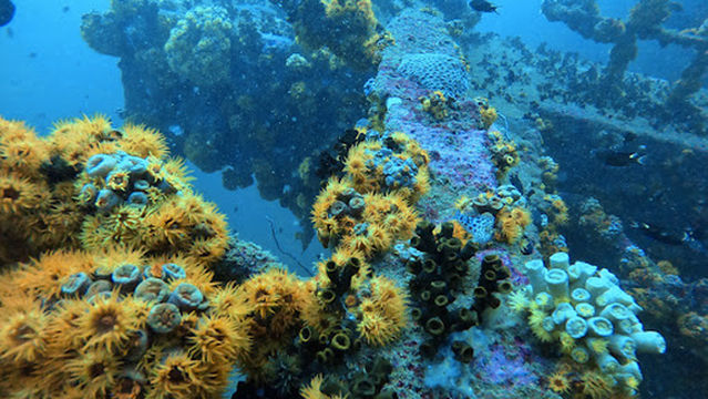 AdrenalineLK Adventures