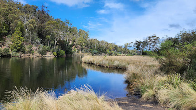 Trout Creek Camping area