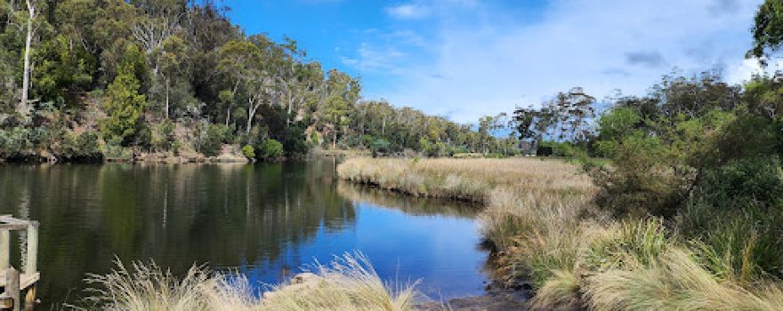 Trout Creek Camping area