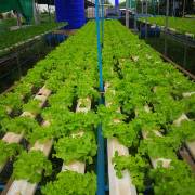 กิจกรรมบันเทิง