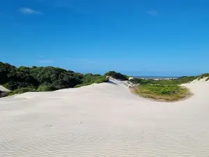 LocMil Turismo - Circuito e Passeios de Buggy e Quadriciclo