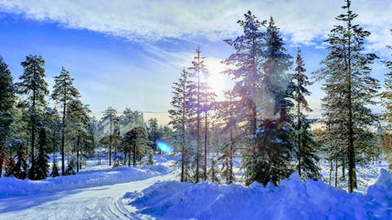 Lapland Husky Safaris