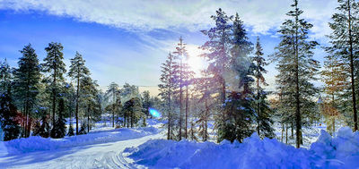 Lapland Husky Safaris