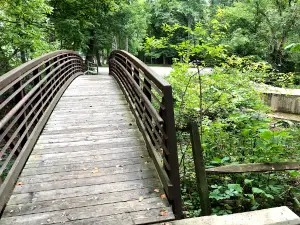 Sycamore Park