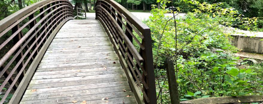 Sycamore Park
