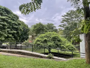 Pinnawala Zoo