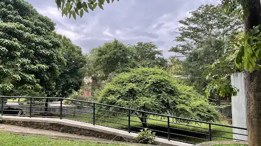 Pinnawala Zoo