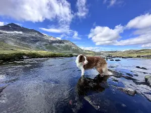 Trollheimen Mountain Area