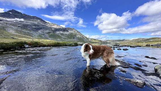 Trollheimen Mountain Area
