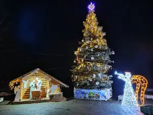 Pam'yatnyk Tarasovi Shevchenku