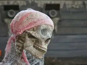 DarkSyde Acres Haunted House