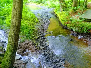 Hillside Campgrounds