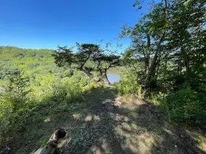 Buzzard Ridge Wildlife Area