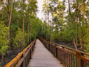 Ekowisata Hutan Mangrove Pomako