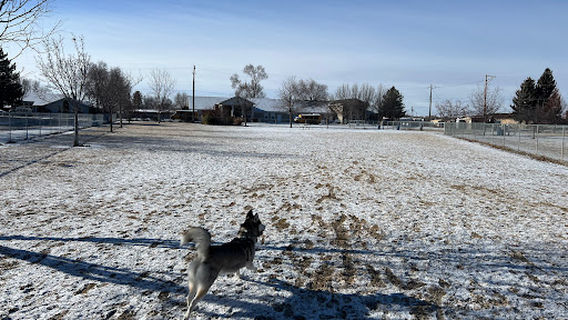 Dog Park