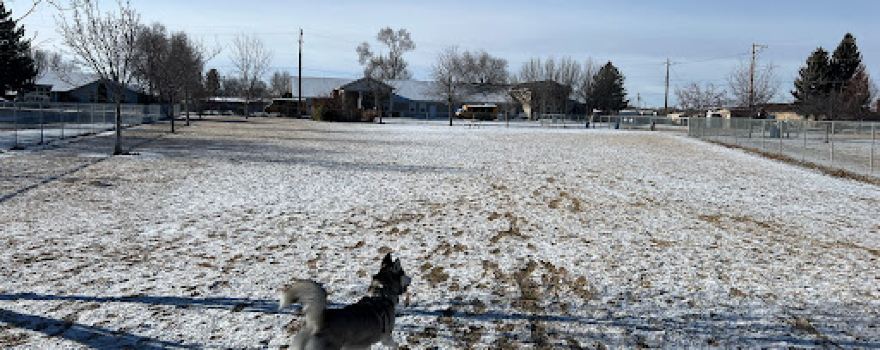 Baxter's Dog Park