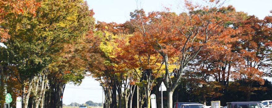 Sakado City Sports Park