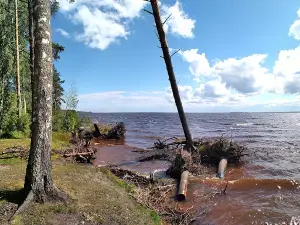 Bereg Na Rybinskom Vodokhranilishche