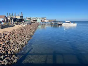 PELICAN POINT