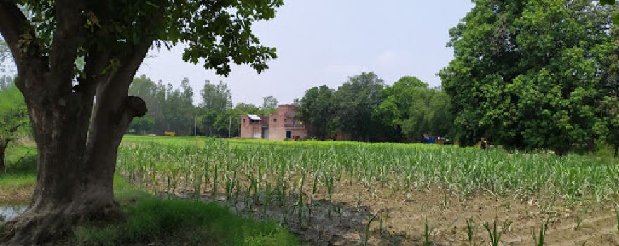 Saraswatipur (बम्बुरी)