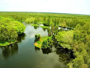 U Minh Thuong National Park