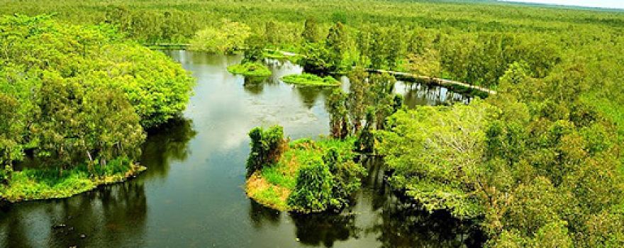U Minh Thuong National Park