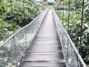 Bukit Lawang Orangutan Trekking