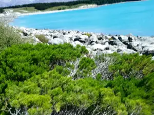 Lake Pukaki Viewpoint