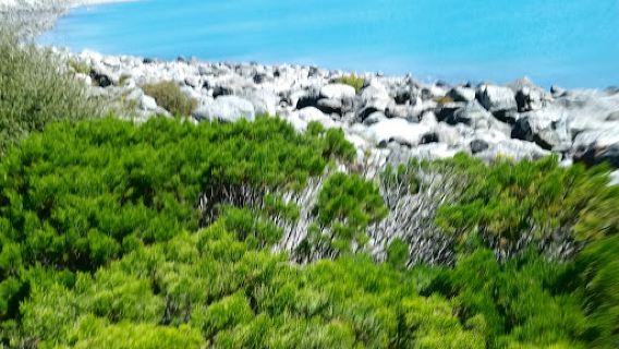 Lake Pukaki Viewpoint
