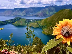 Wisata Anugerah Indah Sippan
