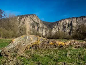 Der Rotenfels