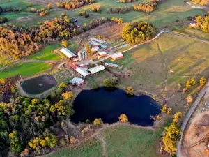 Hickory Hill Milk