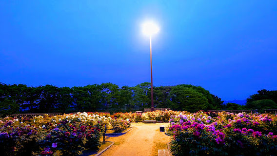 Higashi Park