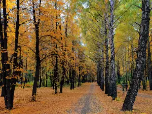 Youth Park