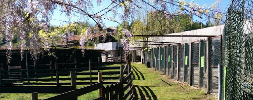 Quinta Pedagógica Quinta das Manas