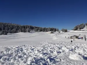 Coe Pass