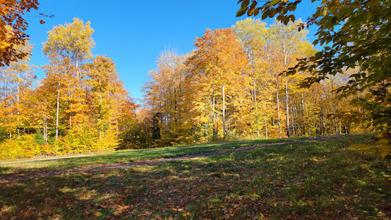 노르딕 헤리티지 센터