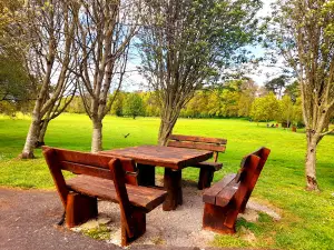 Croom Town Park