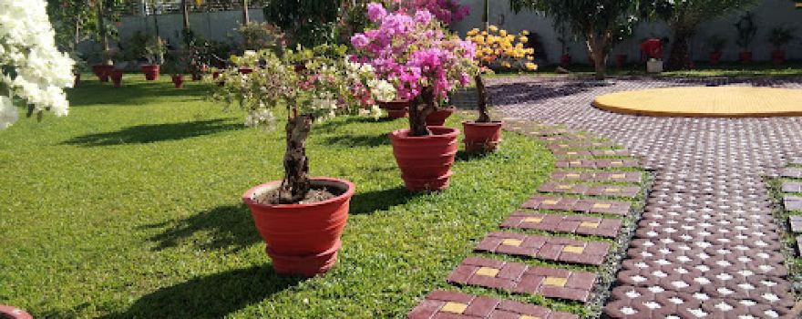Friane's Garden