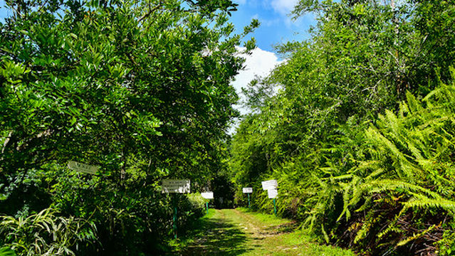 Animal Farm & Nature Reserve