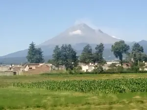 Parque El Chamizal