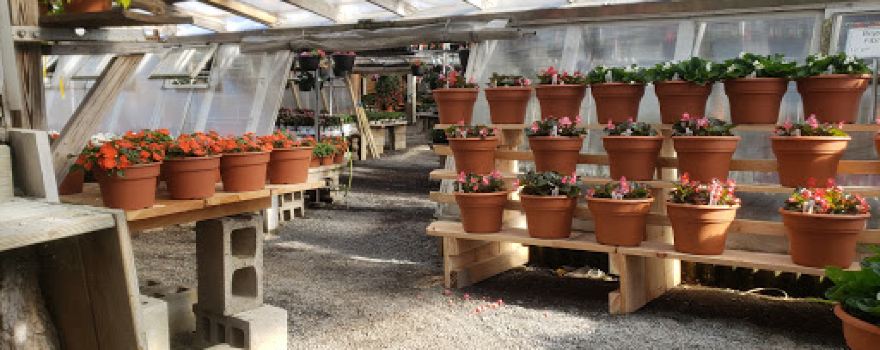 Russell's Garden Center