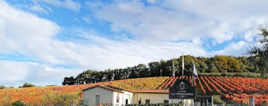 Cantina La Veneranda