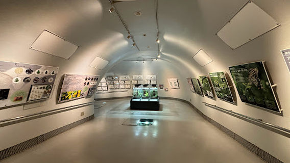 群馬県立ぐんま昆虫の森